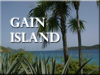 Gain Island