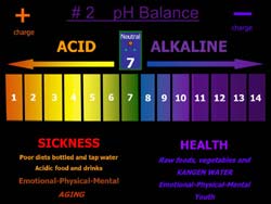 Kangen alkaline water